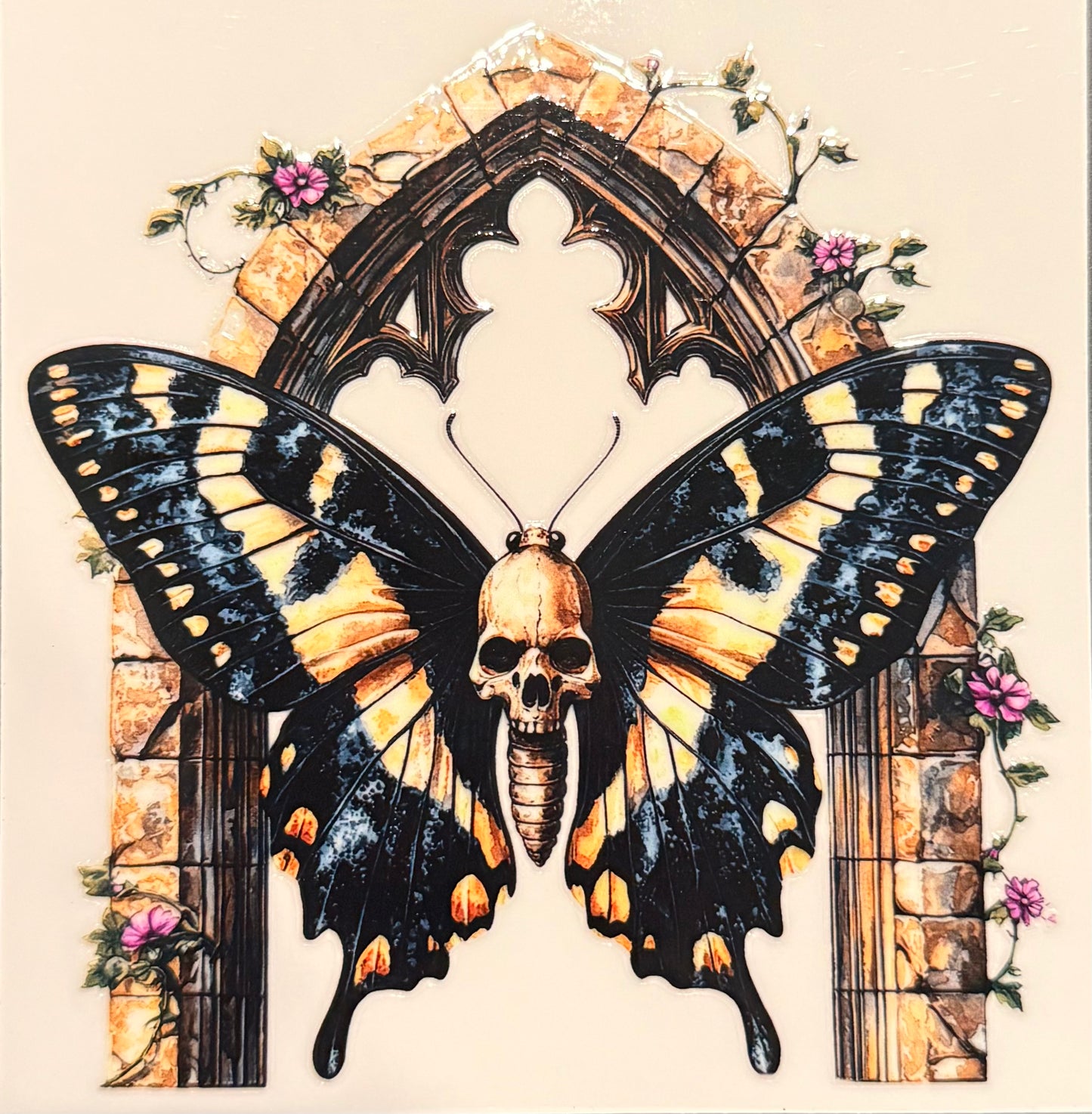 Moth 32