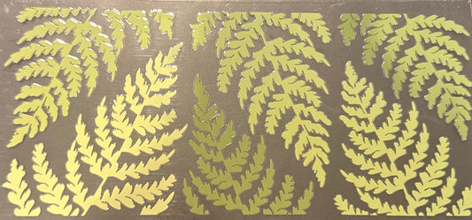 Fern
