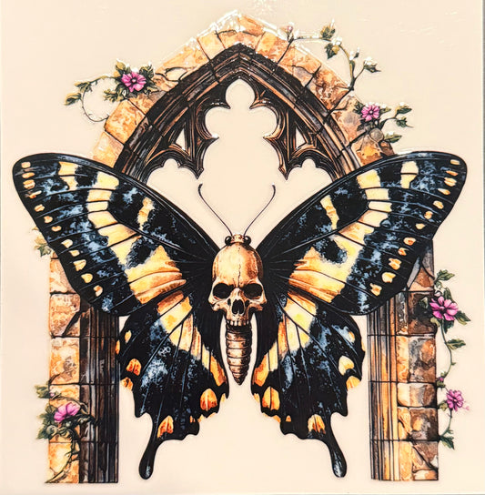 Moth 32